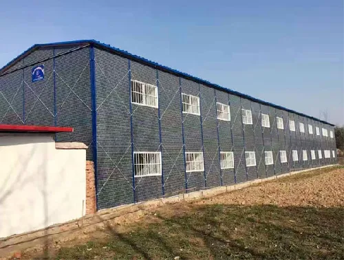 案例展示